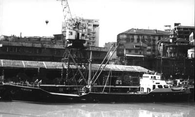 Perfecto by T. Diedrich